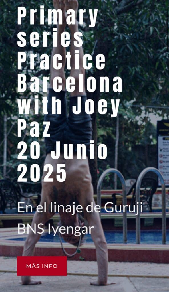 flyer led class joey