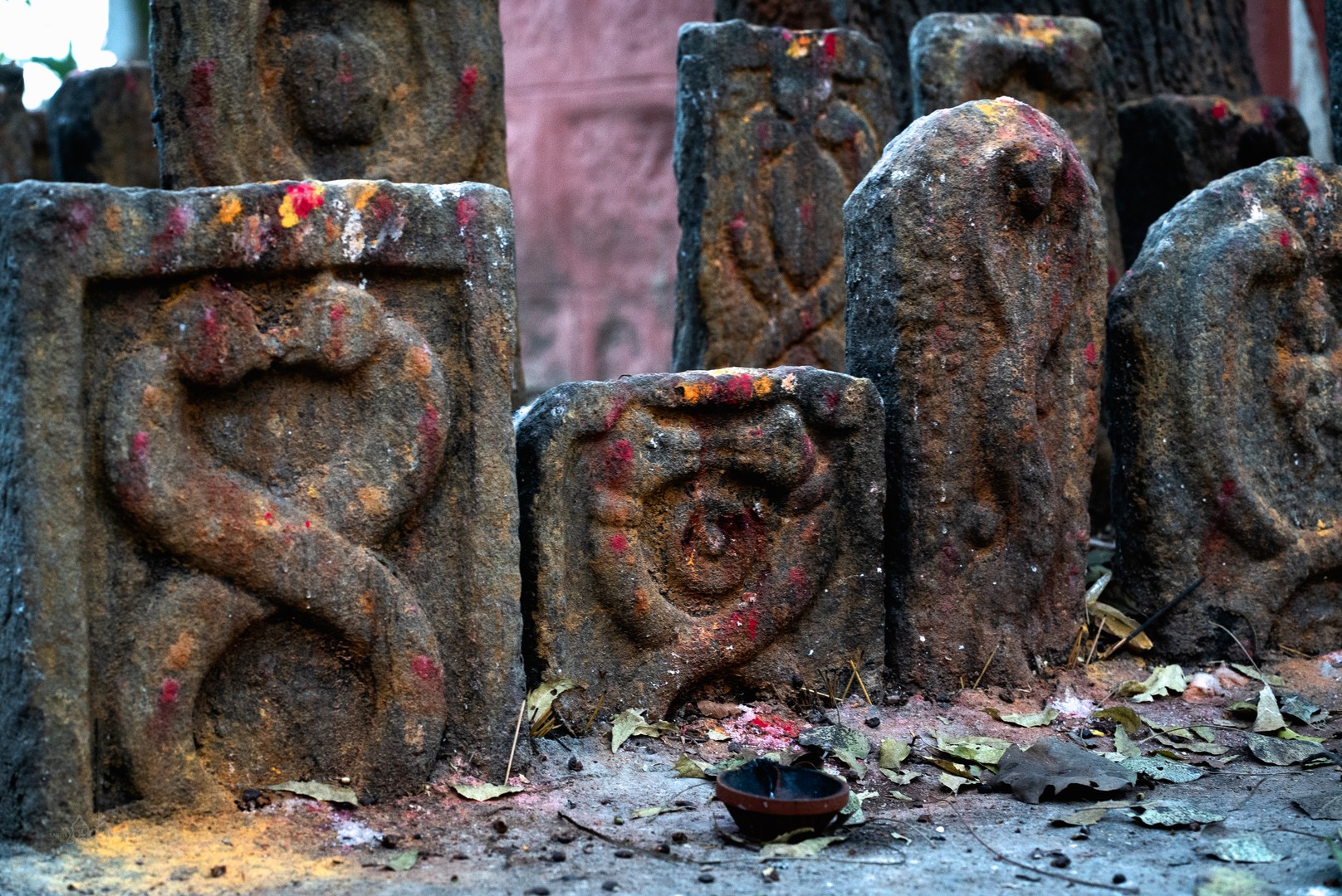 Energía y Conciencia: