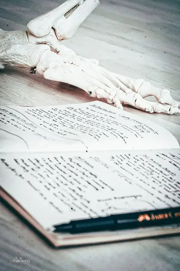 anatomy-book. sarria yoga