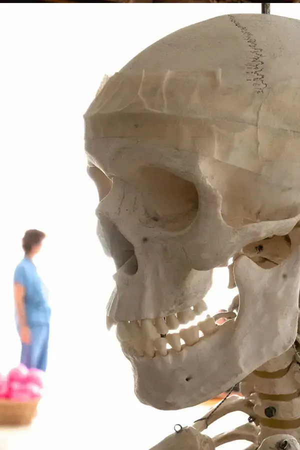 anatomia sarria yoga barcelona skull