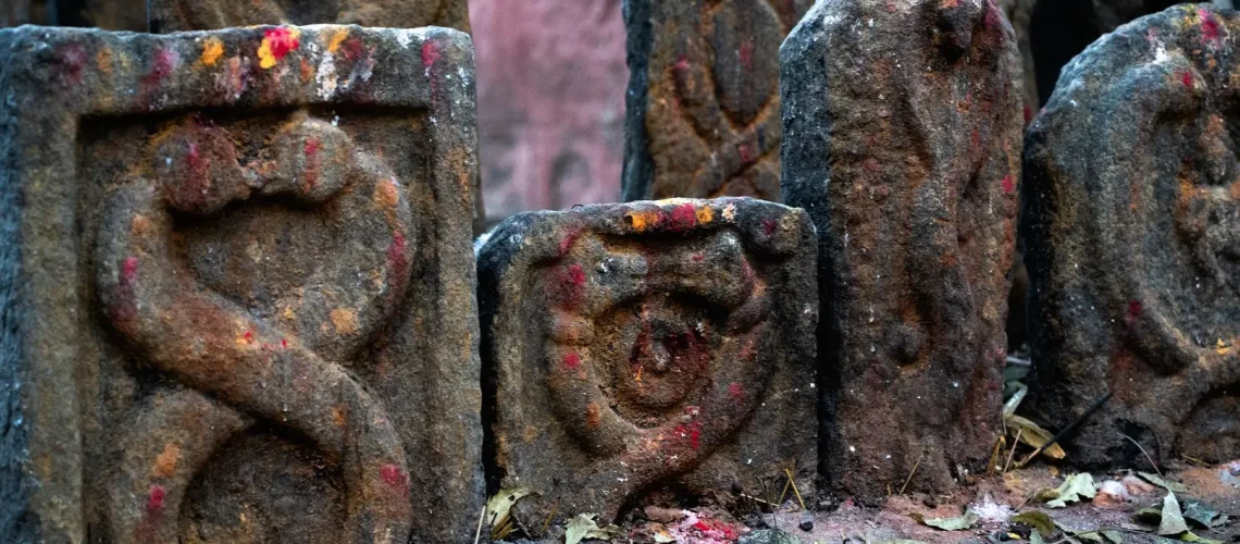 Energía y Conciencia: